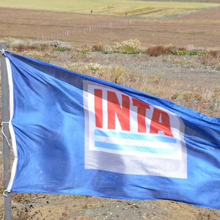 Anticiparon que e l INTA dejará de ser un ente autárquico