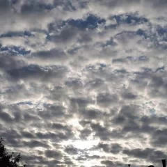 Clima en Río Gallegos: pronóstico del tiempo para el domingo 19 de abril de 2026