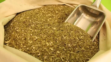 Milei desreguló el precio de la yerba mate y dejará a los productores negociar Milei desreguló el precio de la yerba mate y dejará a los productores negociar
