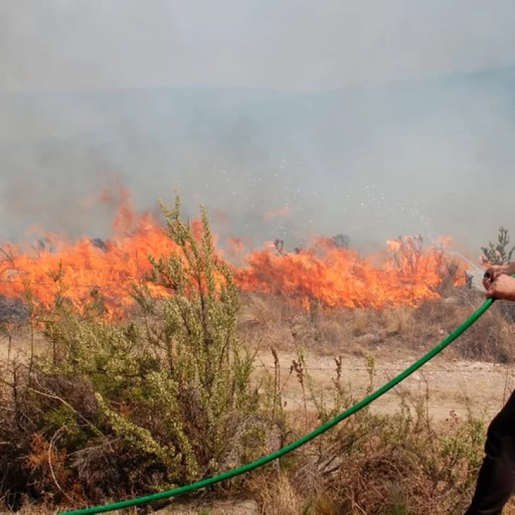 Video: Desesperado, el actor Damián Dos Santos perdió un quincho bajo las llamas y salió a apagar el incendio que rodeaba su casa
