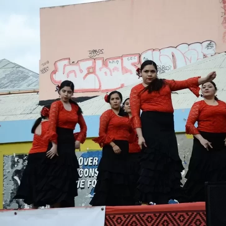 Escuelas de Río Gallegos celebraron el Día Nacional de la Danza