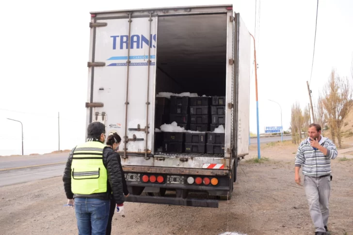 Le decomisan a un transporte 18 mil kilos de pescado que llevaba a otra provincia