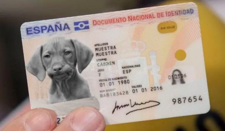 En España los perros y gatos deberán tener DNI En España los perros y gatos deberán tener DNI