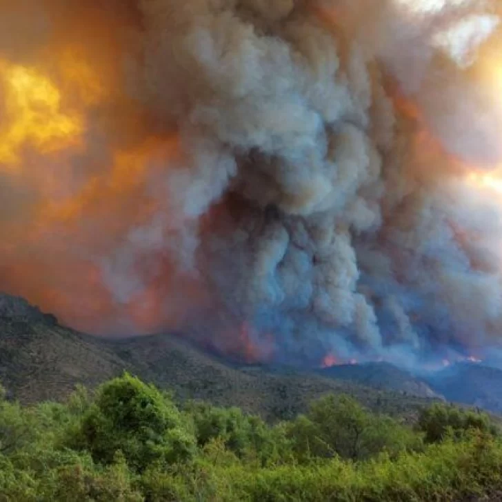 Incendios en Chubut: Cabandié adelantó que hará una denuncia penal