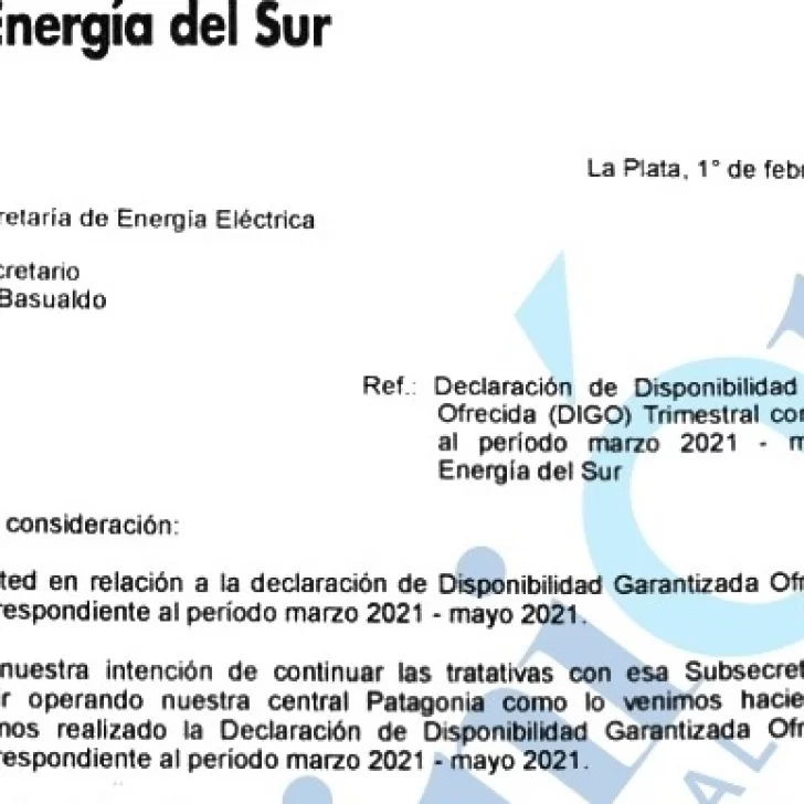 Sin respuesta oficial, Energía del Sur insisiste en que podría dejar de generar