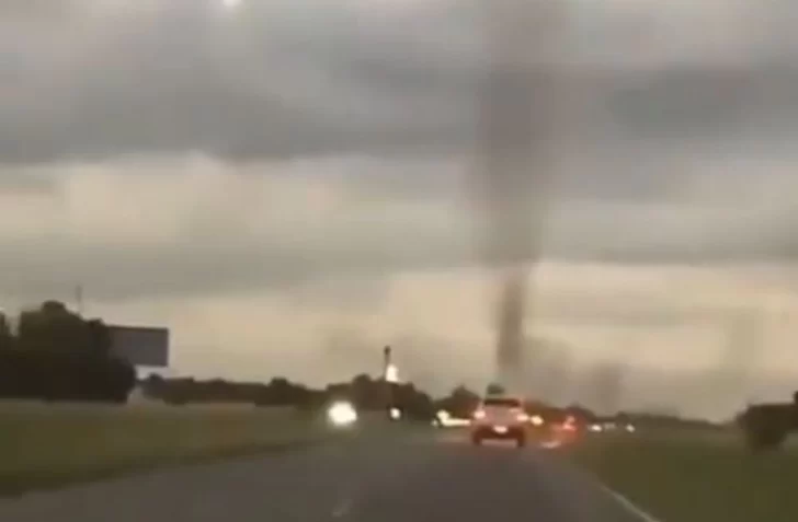 Video. Confunden con un “tornado” a un inmenso enjambre de mosquitos que apareció en una ruta de Buenos Aires