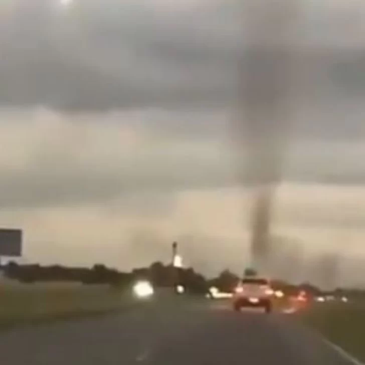 Video. Confunden con un “tornado” a un inmenso enjambre de mosquitos que apareció en una ruta de Buenos Aires