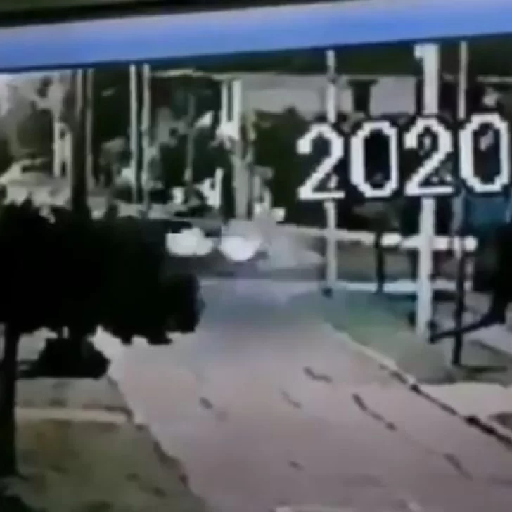 Video. Así fue el fatal choque de Fernando Tobio que terminó con la muerte de una mujer Video. Así fue el fatal choque de Fernando Tobio que terminó con la muerte de una mujer
