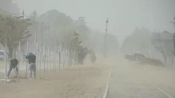 ¿Hasta cuándo durará el viento?: recomendaciones por la alerta ¿Hasta cuándo durará el viento?: recomendaciones por la alerta