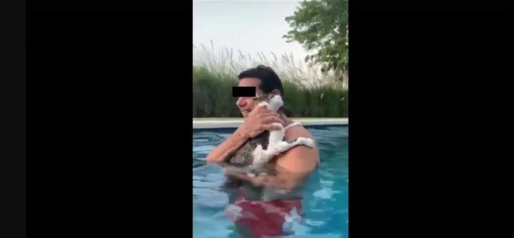 Gato dice “Me ahogo” en una pileta