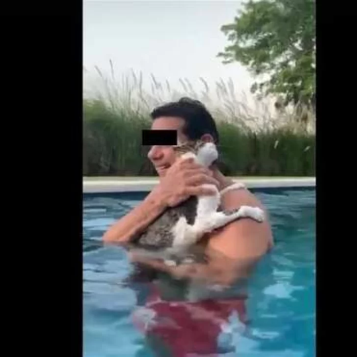 Gato dice “Me ahogo” en una pileta