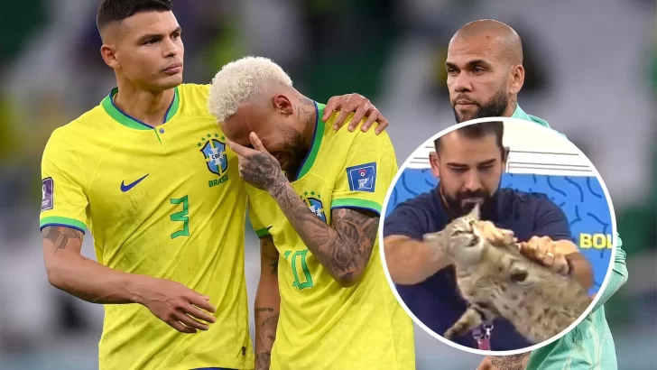 De dónde surge el meme del gato tras la derrota de Brasil ante Croacia en cuartos de final