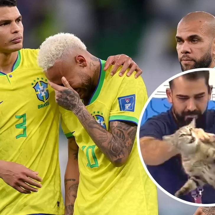 De dónde surge el meme del gato tras la derrota de Brasil ante Croacia en cuartos de final