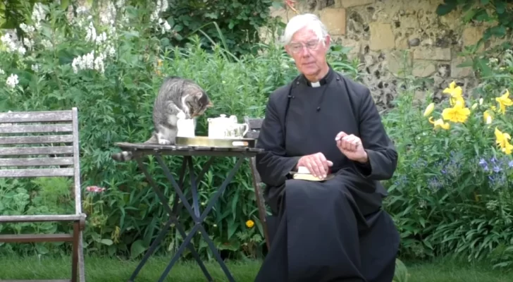 Tiger, el gato que saltó a la fama tras robarle la leche a un sacerdote en pleno sermón