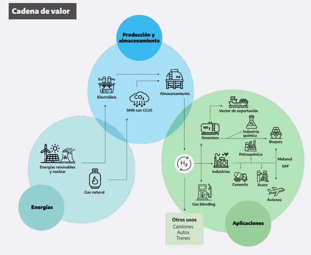 grafico