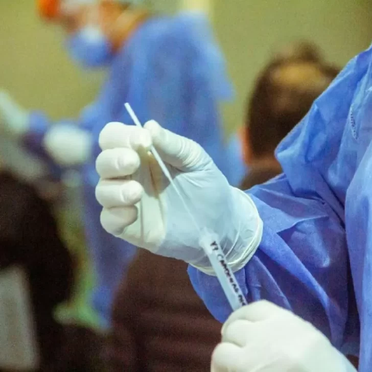 Coronavirus en Argentina: confirmaron 239 muertes y 2.297 nuevos contagios Coronavirus en Argentina: confirmaron 239 muertes y 2.297 nuevos contagios