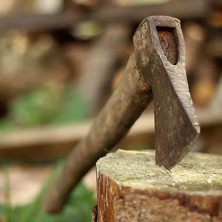 Golpeó a su pareja y a su hija: cuando llegaron los policías, los atacó a los hachazos Golpeó a su pareja y a su hija: cuando llegaron los policías, los atacó a los hachazos