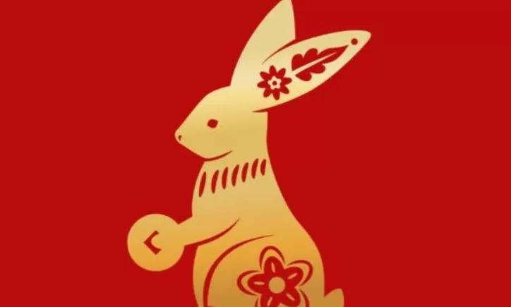 Según el horóscopo chino, este 2023 es el año del conejo: ¿qué significa  eso? - Gente - Cultura 