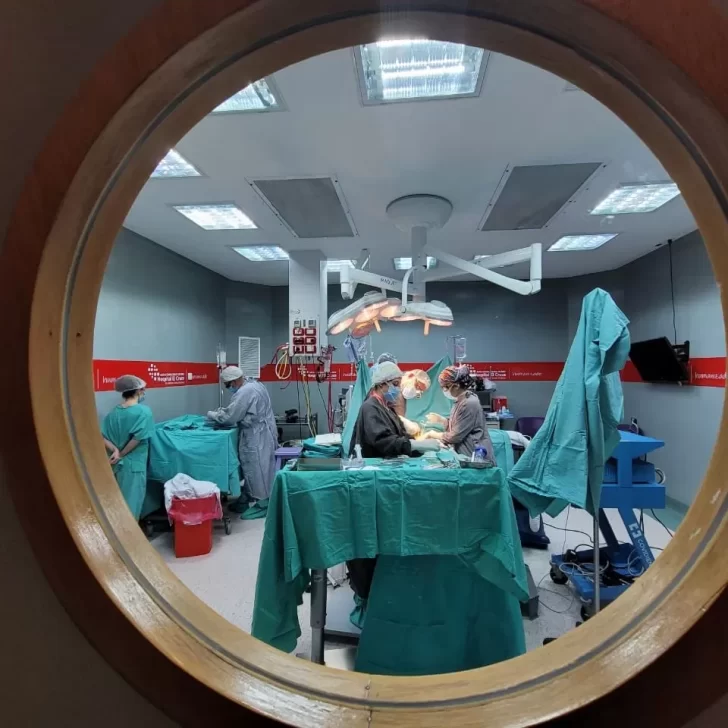 Histórico: realizan tres trasplantes en simultáneo en el Hospital “El Cruce – Néstor Kirchner”
