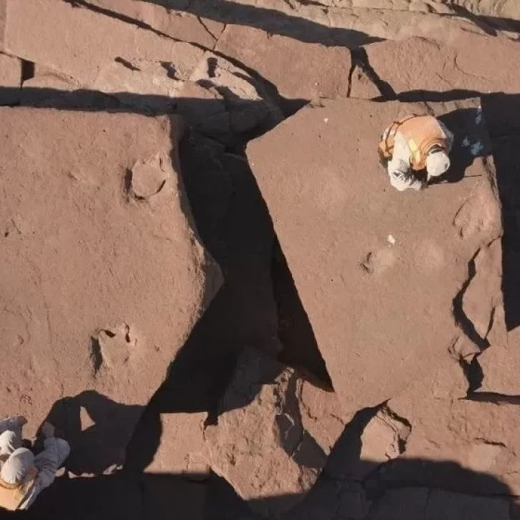 Video. Encuentran huellas de dinosaurio entre las rocas de un lago en Río Negro Video. Encuentran huellas de dinosaurio entre las rocas de un lago en Río Negro