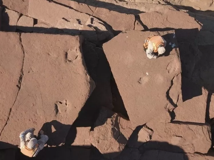 Video. Encuentran huellas de dinosaurio entre las rocas de un lago en Río Negro Video. Encuentran huellas de dinosaurio entre las rocas de un lago en Río Negro