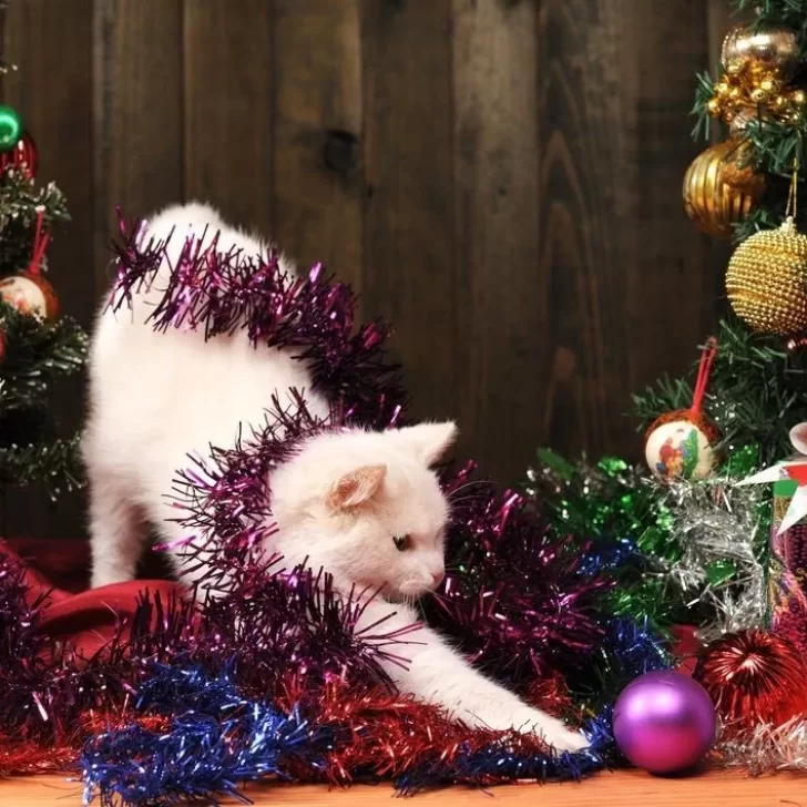 Navidad 2021: por qué los gatos “atacan” al arbolito navideño y cómo evitar que pase