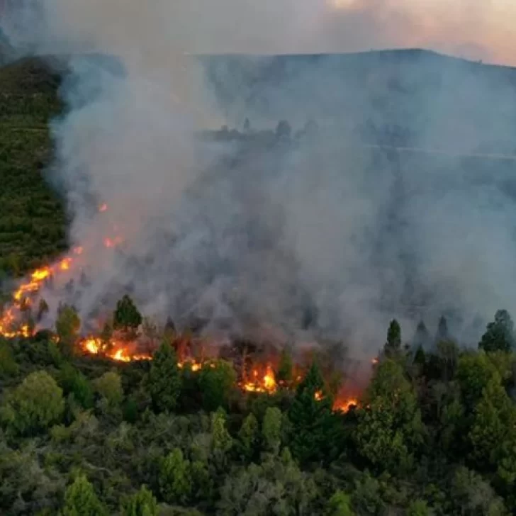 Las llamas de El Bolsón avanzan en Chubut y hasta el momento no hay viviendas en riesgo