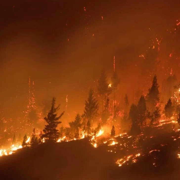 Incendio en Chubut: calculan que 250 familias perdieron sus casas