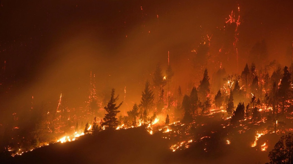 Incendio en Chubut: calculan que 250 familias perdieron sus casas