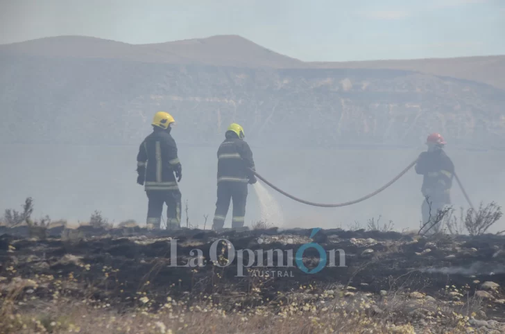 Videos. Se desató un voraz incendio de pastizales en el ingreso de Río Gallegos