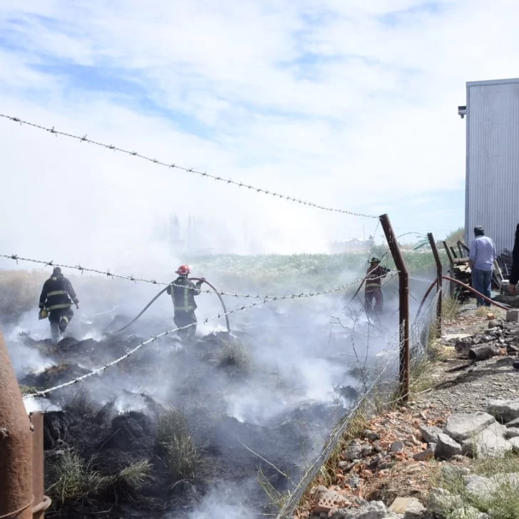Bomberos controlan un voraz incendio de pastizales en la periferia de Río Gallegos