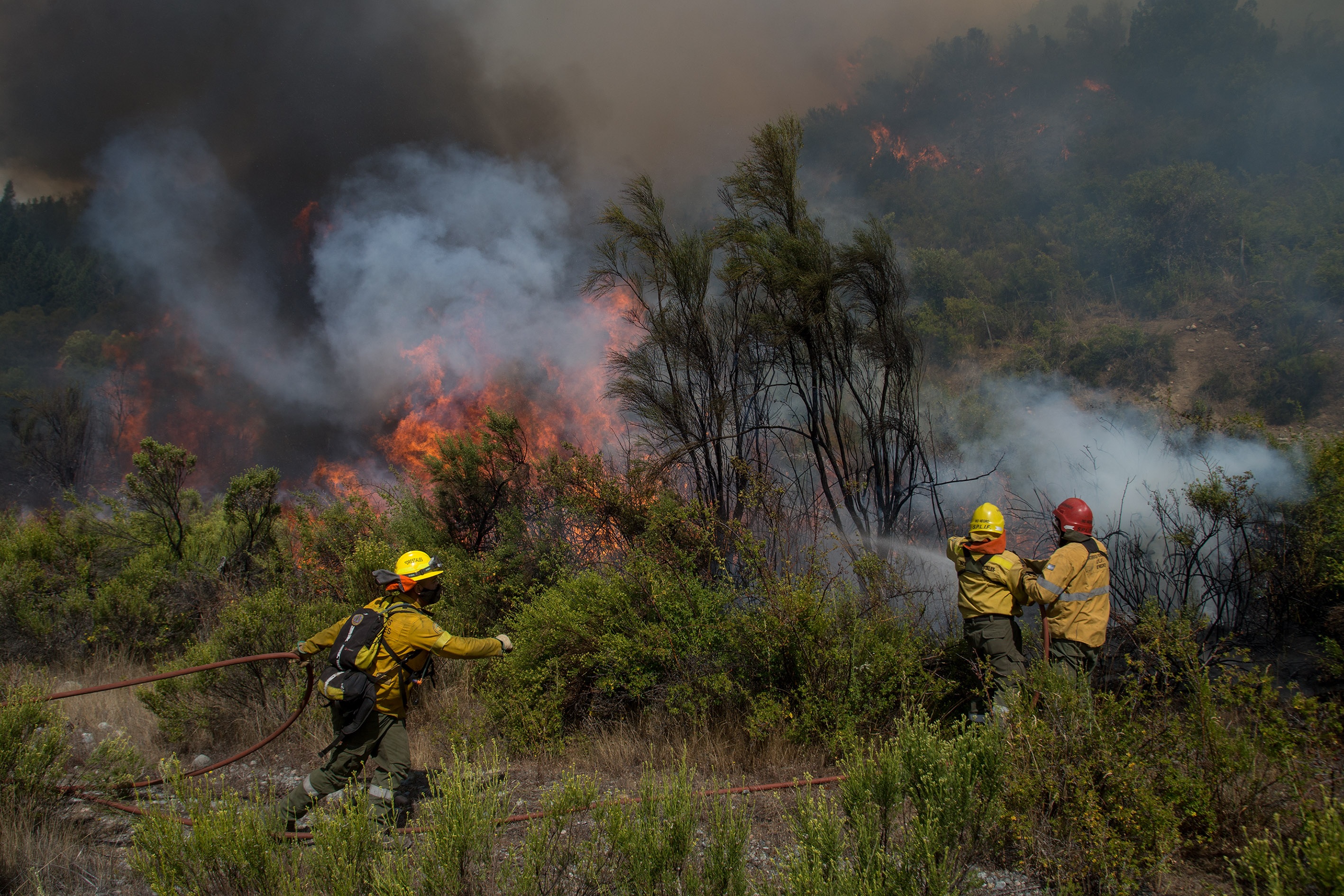 Aseguran que el fuego en El Bolsón está contenido pero no controlado