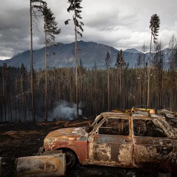 Incendios en Chubut: el gobierno nacional declaró la emergencia agropecuaria