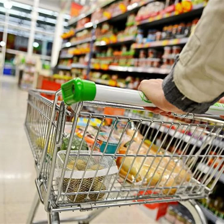 La inflación de febrero fue del 11,3% en la Patagonia: qué fue lo que más aumentó