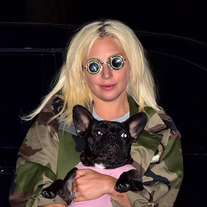 Video muestra el momento en que roban los dos perros de Lady Gaga y balean al paseador