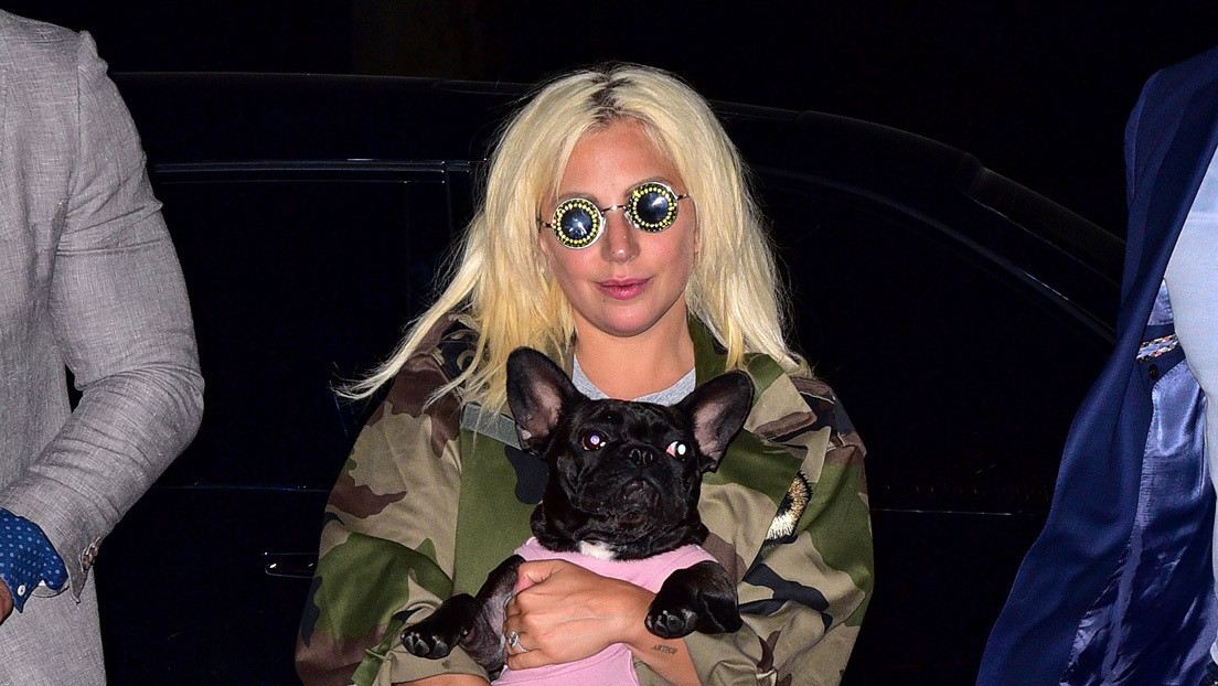 Video muestra el momento en que roban los dos perros de Lady Gaga y balean al paseador