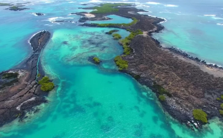 Galápagos volverá a recibir turistas en Julio pese tener decenas de infectados de Covid-19