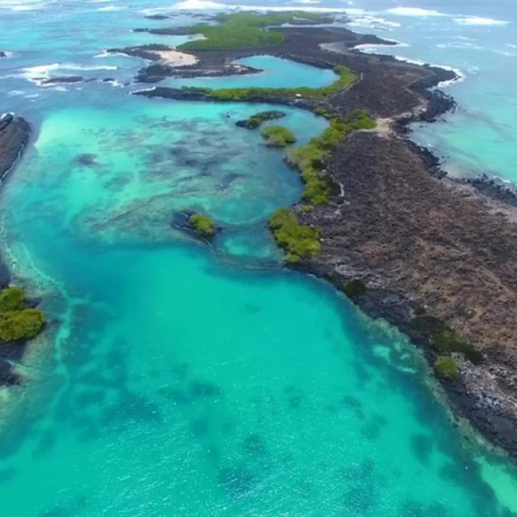 Galápagos volverá a recibir turistas en Julio pese tener decenas de infectados de Covid-19