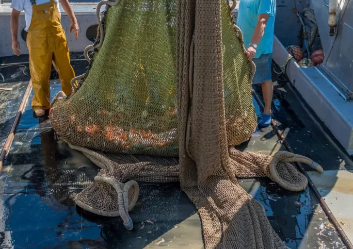 Ley ómnibus: idas y vueltas sobre los cambios en la Ley de Pesca
