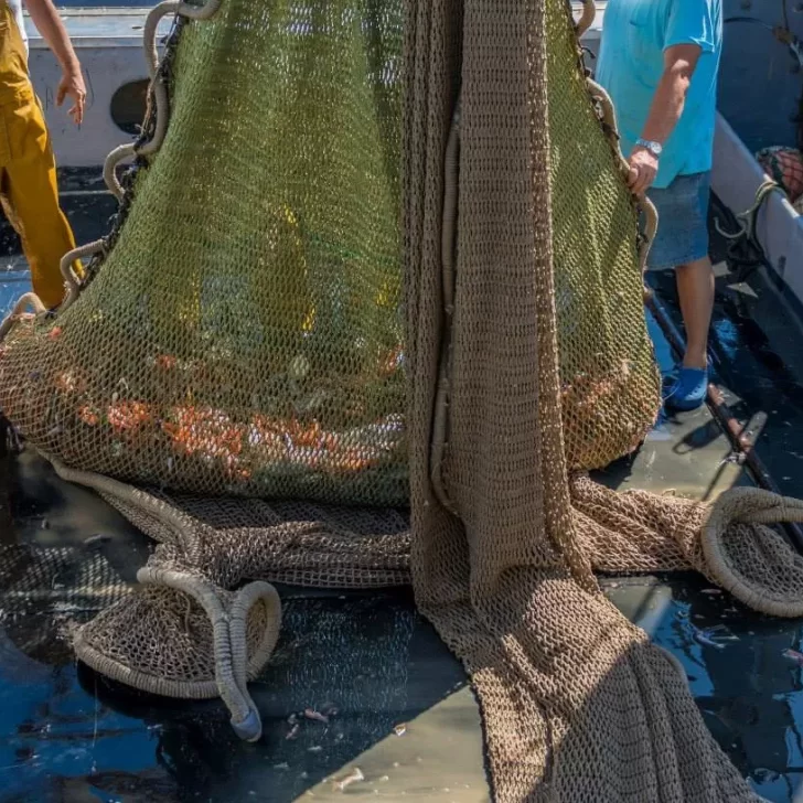 Ley ómnibus: idas y vueltas sobre los cambios en la Ley de Pesca