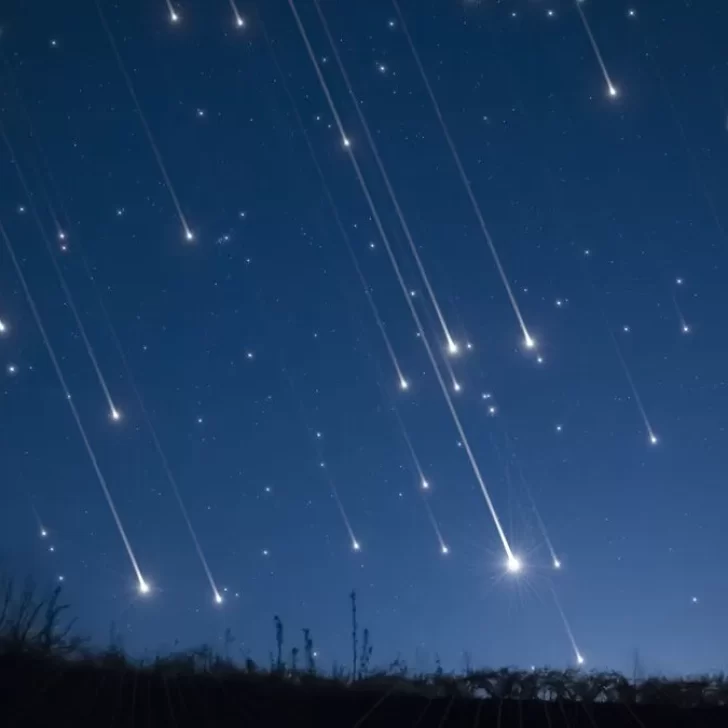 Las Leónidas: cuándo y cómo se podrá ver esta espectacular lluvia de estrellas en Argentina Las Leónidas: cuándo y cómo se podrá ver esta espectacular lluvia de estrellas en Argentina