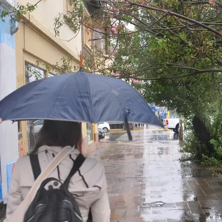 Clima en Río Gallegos: pronóstico del tiempo para este jueves 31 de julio de 2025 Clima en Río Gallegos: pronóstico del tiempo para este jueves 31 de julio de 2025