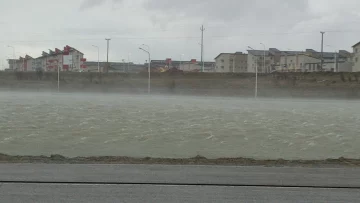 Clima en Río Gallegos: pronóstico del tiempo para hoy miércoles 22 de enero de 2025