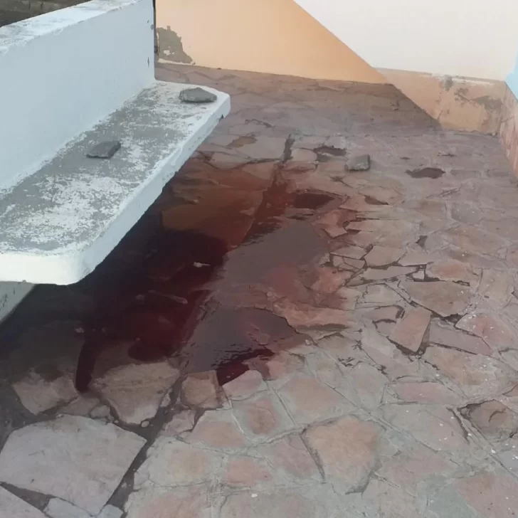 El dramático y revelador relato de una testigo: “Dijo ‘a mí no me vas a parar’ y le disparó”