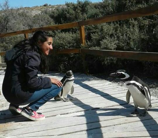 Ambientalista: “Ves a niños que le tiran piedras a pingüinos y los padres no dicen nada”