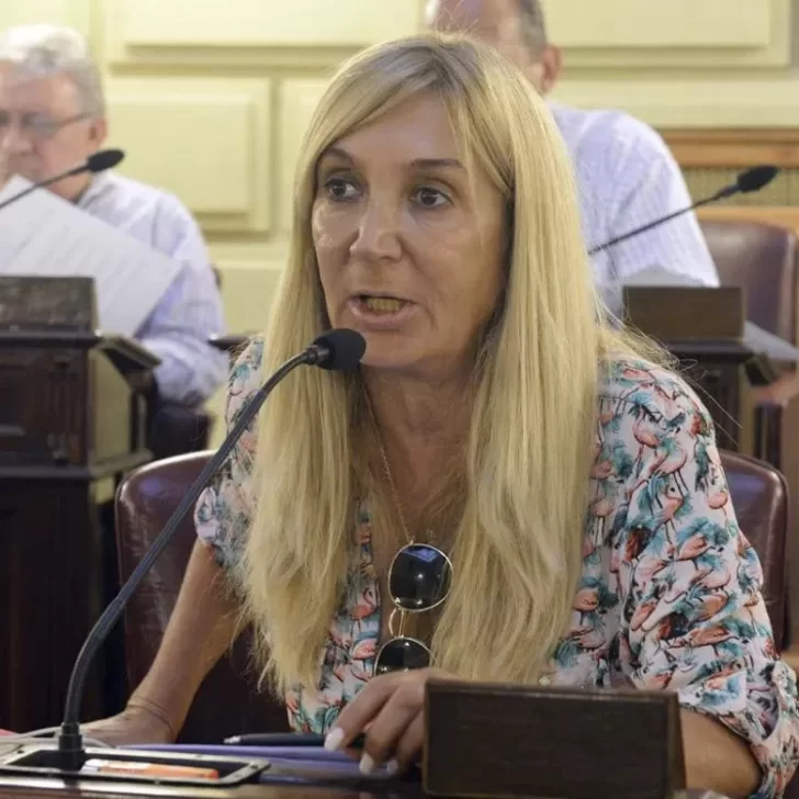 La exdiputada provincial María Alejandra Vucasovich ocupará la banca de Reutemann
