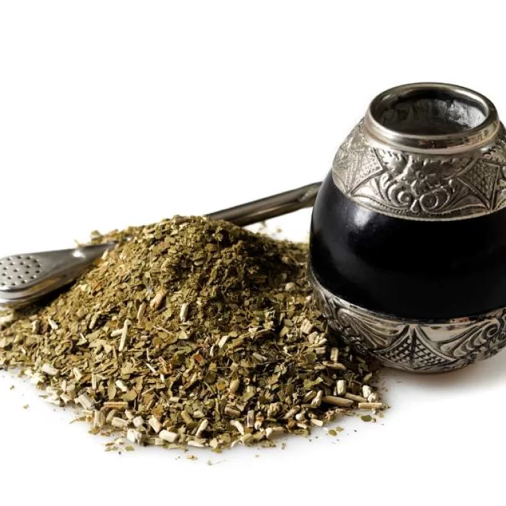 Día del mate: Todo los secretos que no conocés de la infusión más elegida por los argentinos Día del mate: Todo los secretos que no conocés de la infusión más elegida por los argentinos