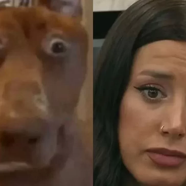 Gran Hermano 2022: explotaron los memes tras la expulsión de Juliana Gran Hermano 2022: explotaron los memes tras la expulsión de Juliana