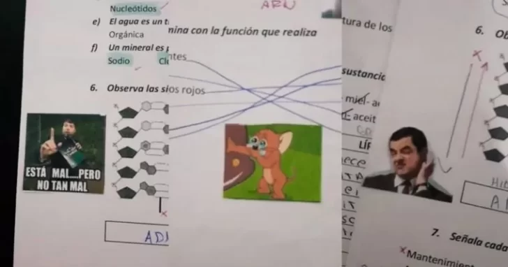 Una maestra corrigió las pruebas de sus alumnos usando memes y se volvió viral