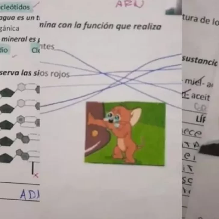 Una maestra corrigió las pruebas de sus alumnos usando memes y se volvió viral